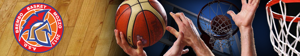 Brembo Basket Mozzo 2013 - Home page